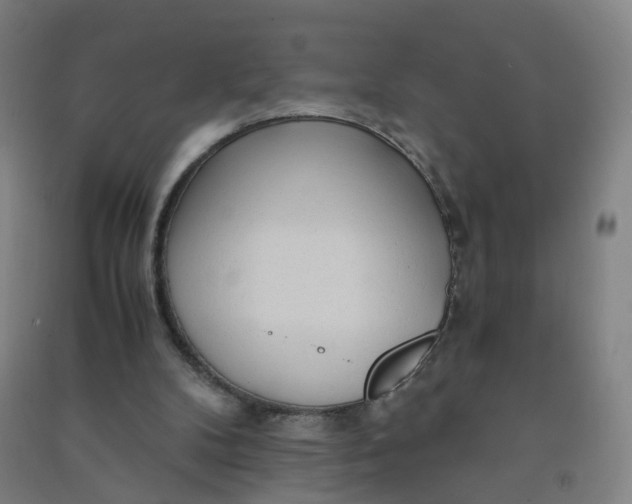 X0000090920104200708201815