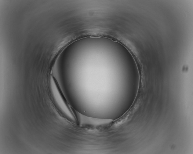 X0000090920105200708201815