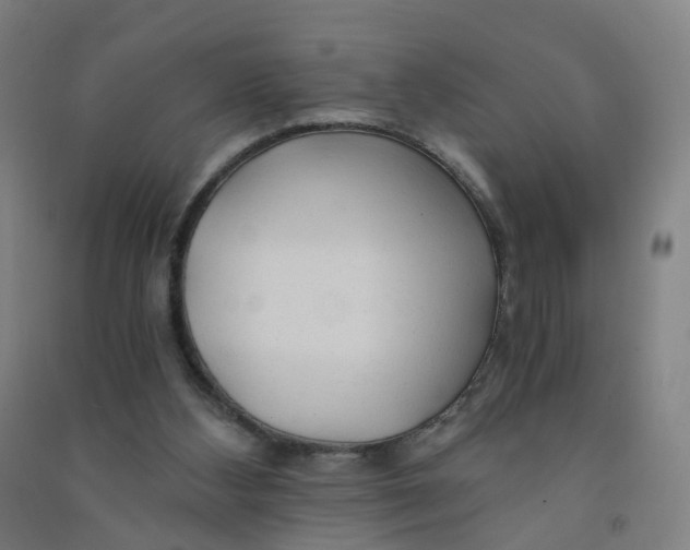 X0000090920108200708201815