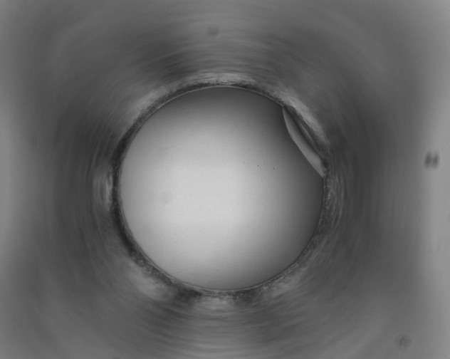 X0000090920110200708201815