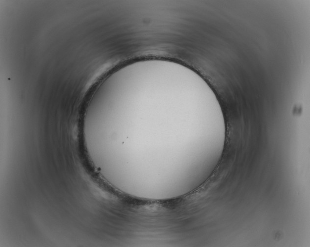 X0000090920112200708201815