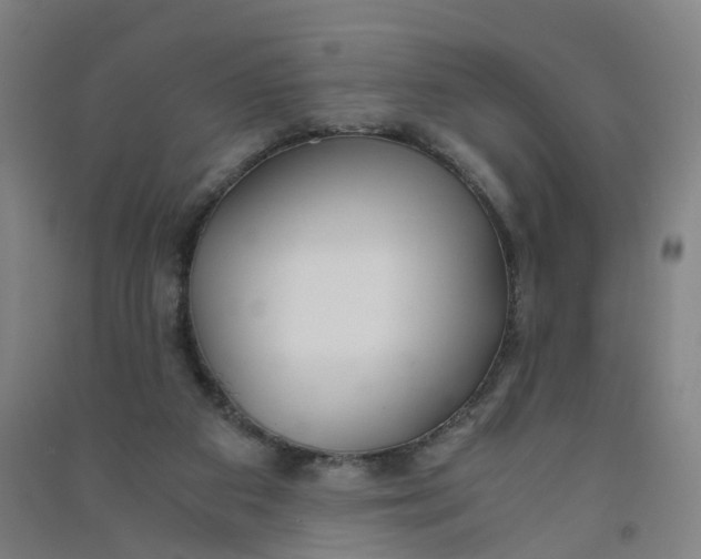 X0000090920113200708201815