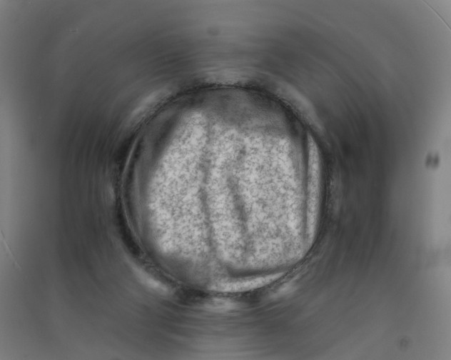 X0000090920114200708201815