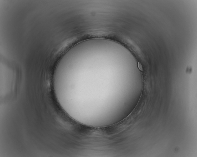 X0000090920115200708201815