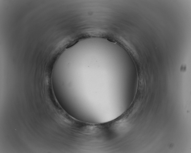 X0000090920117200708201815