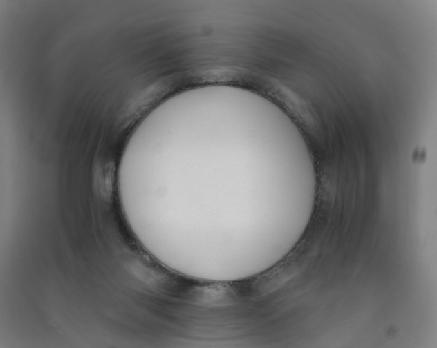 X0000090920118200708201815