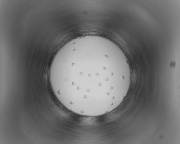 X0000090920122200708201814