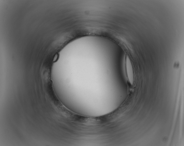 X0000090920123200708201814