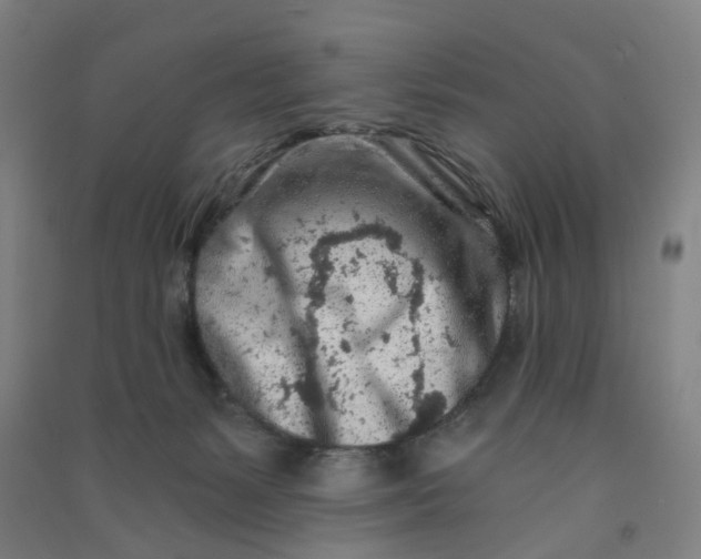 X0000090920127200708201814