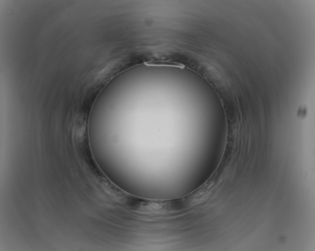 X0000090920129200708201814