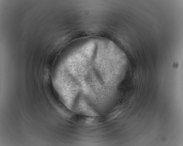 X0000090920130200708201814