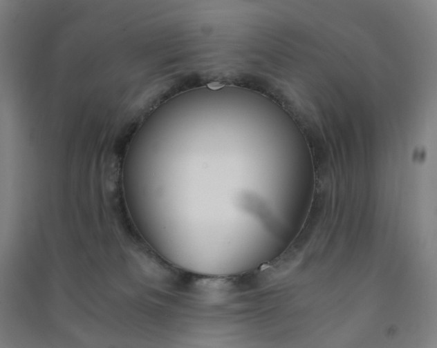 X0000090920133200708201814