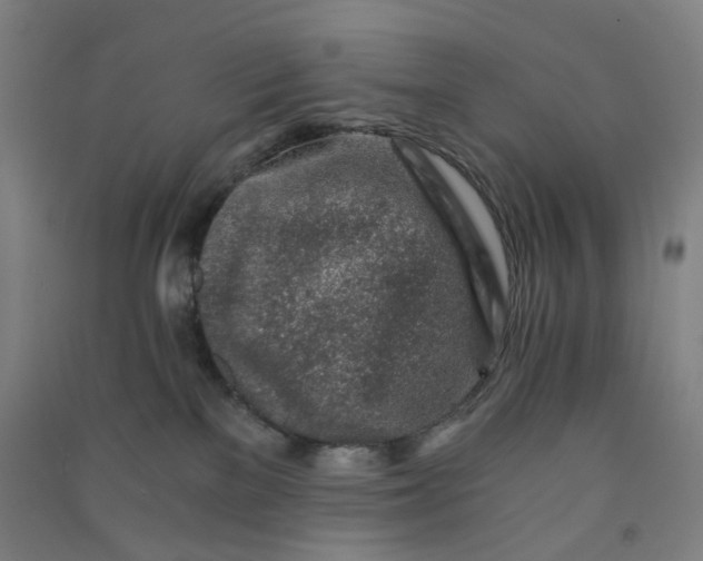 X0000090920137200708201814