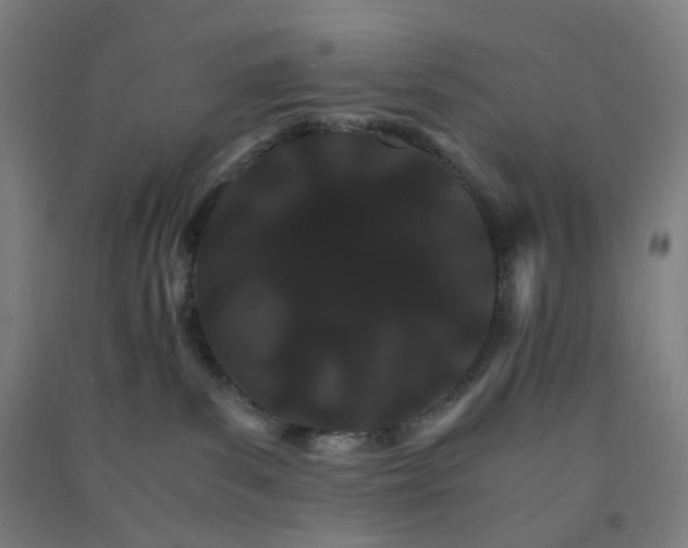 X0000090920139200708201814