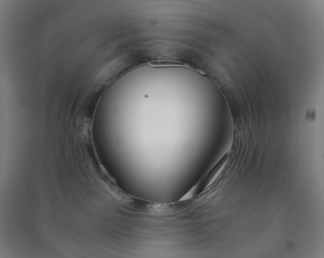 X0000090920141200708201814