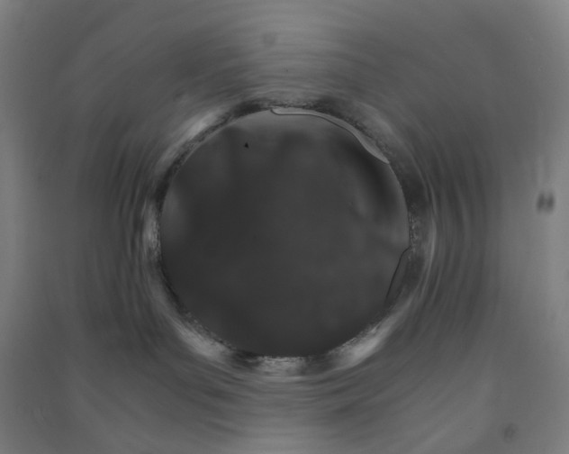 X0000090920143200708201814