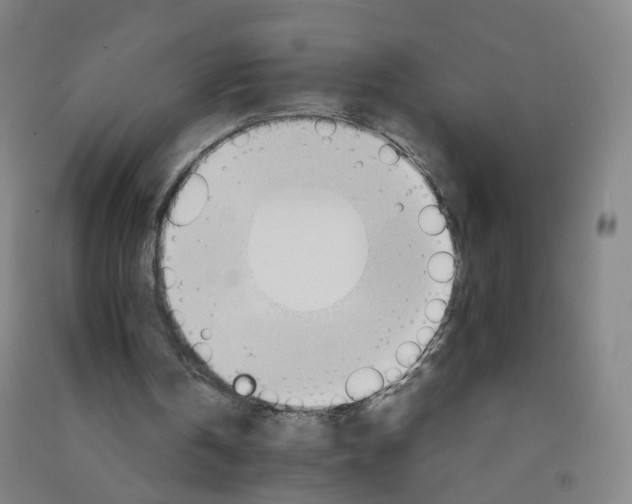 X0000090920146200708201814