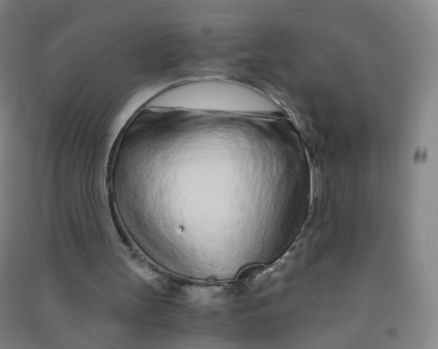 X0000090920147200708201814