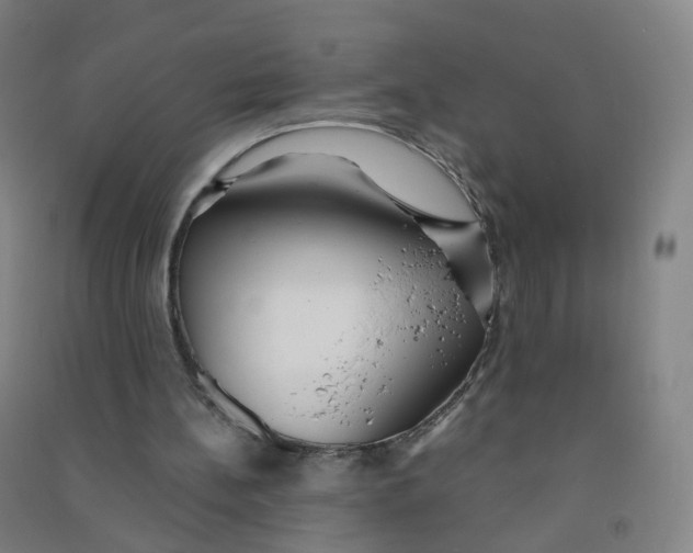 X0000090920148200708201814