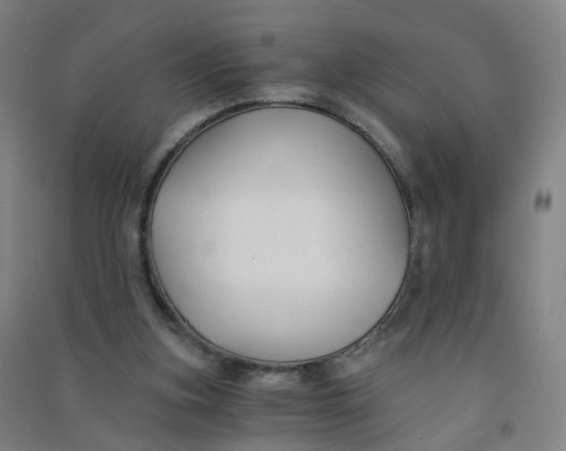 X0000090920155200708201814