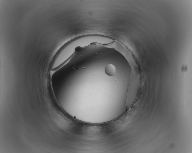 X0000090920156200708201814