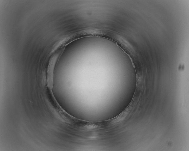 X0000090920158200708201814