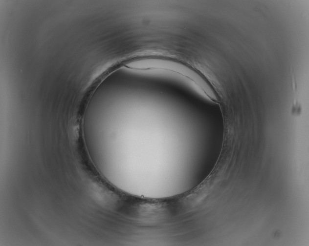 X0000090920160200708201814