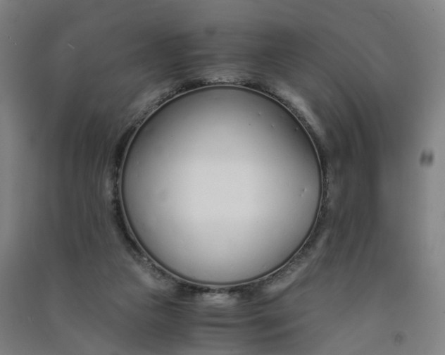 X0000090920161200708201814