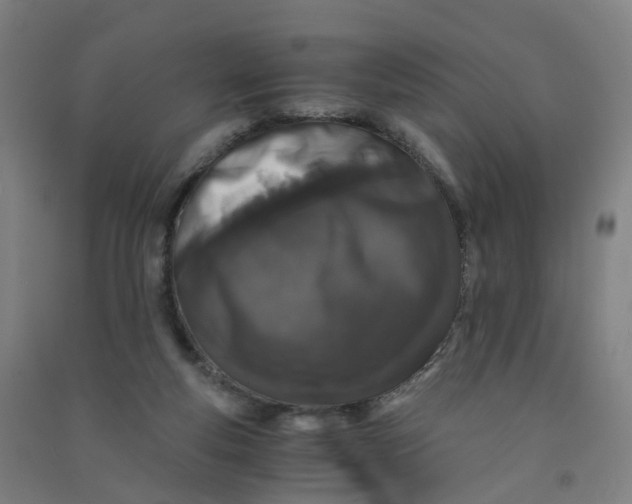 X0000090920163200708201814