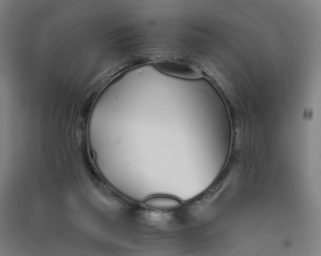 X0000090920165200708201814