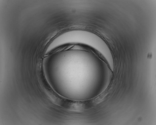 X0000090920168200708201814