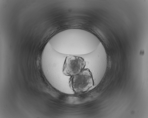 X0000090920169200708201814