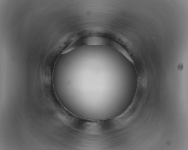 X0000090920170200708201814