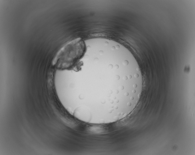 X0000090920171200708201814