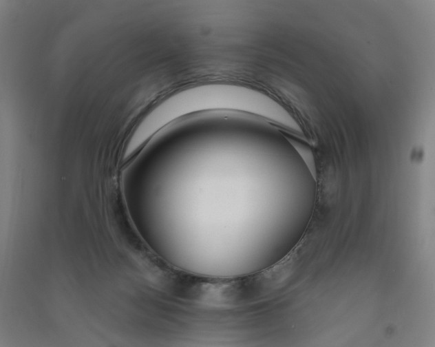 X0000090920172200708201814