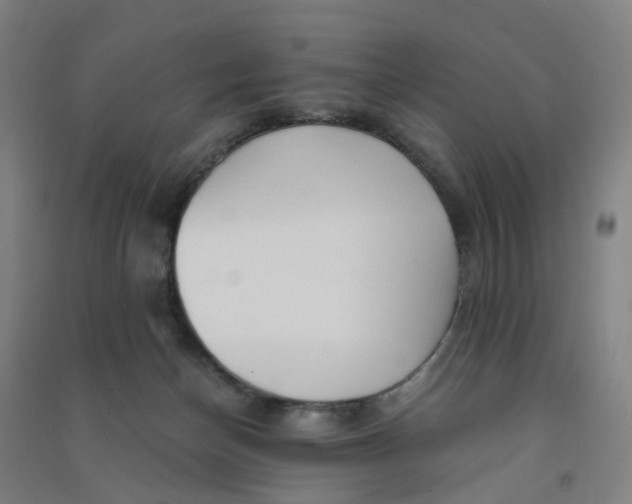 X0000090920174200708201814