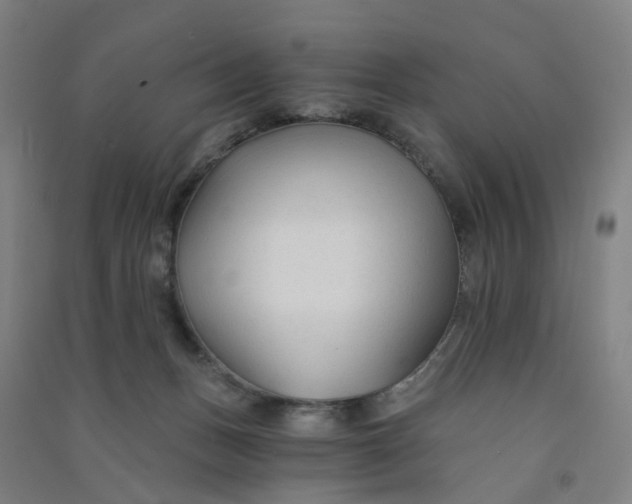 X0000090920175200708201814