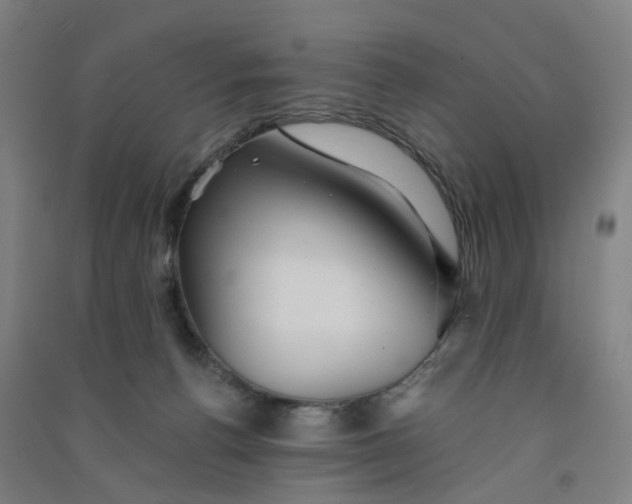 X0000090920176200708201814