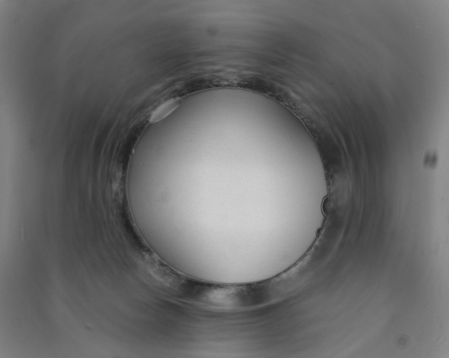 X0000090920178200708201814