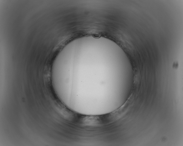 X0000090920179200708201814