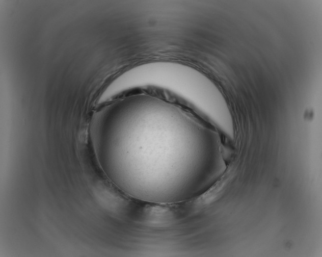 X0000090920180200708201814