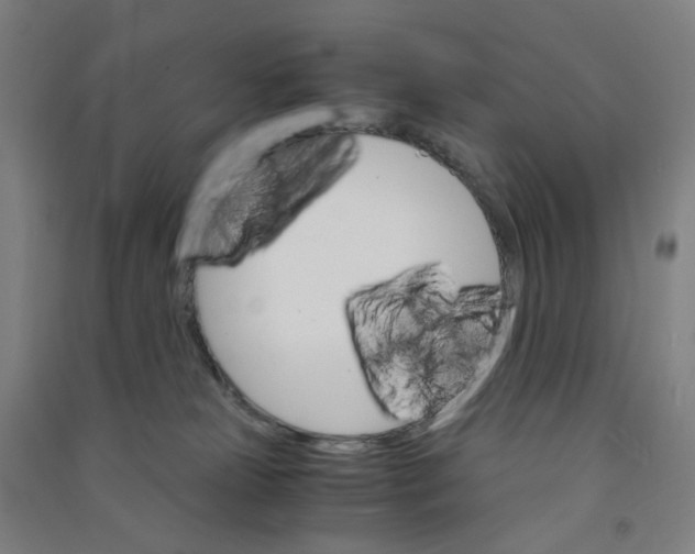 X0000090920181200708201814