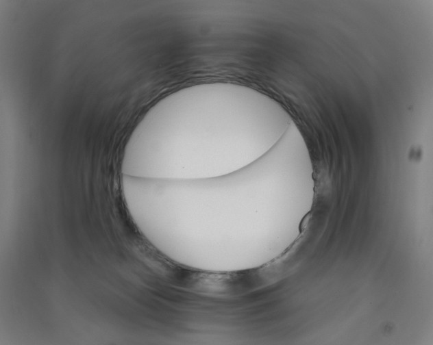 X0000090920182200708201814