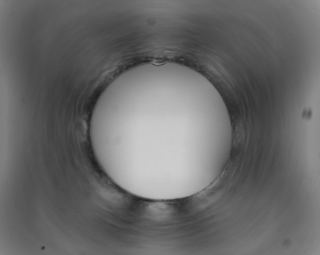 X0000090920183200708201814