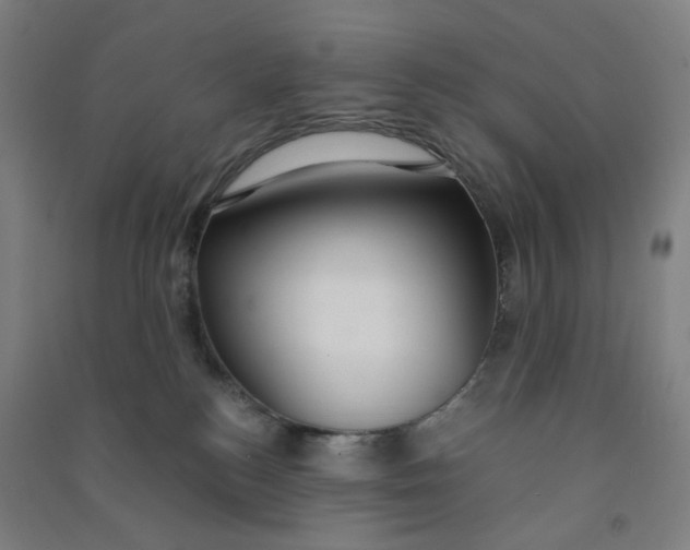 X0000090920184200708201814