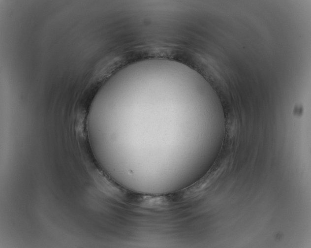 X0000090920185200708201814