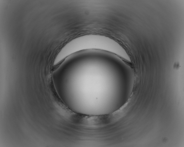 X0000090920186200708201814