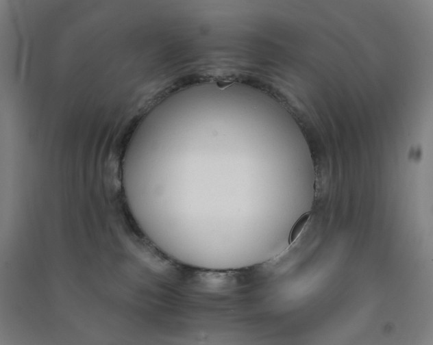 X0000090920187200708201814