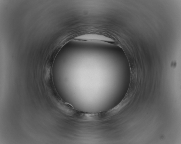 X0000090920188200708201814