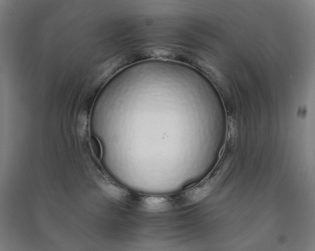 X0000090920189200708201814